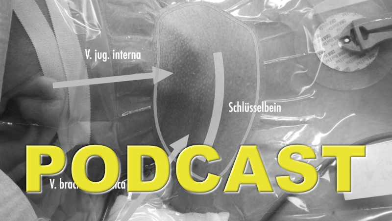 Podcast zur Darstellung der V. brachiocephalica bei der V. jugularis Punktion Radiomegahertz